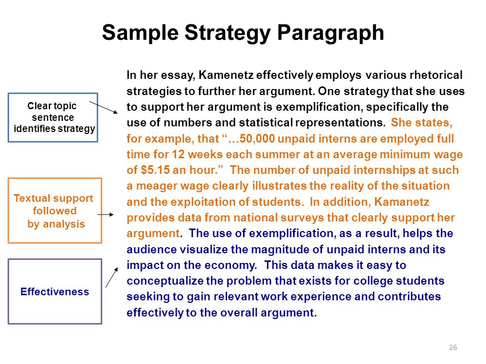 Essay on rhetorical strategies